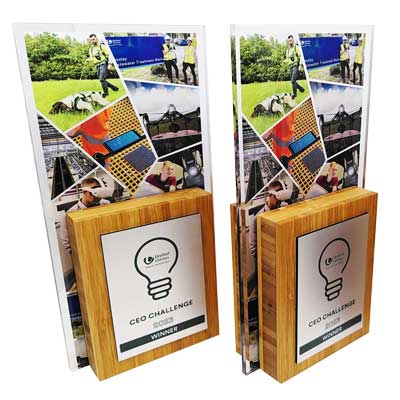 Bespoke awards ready to by online with next day delivery