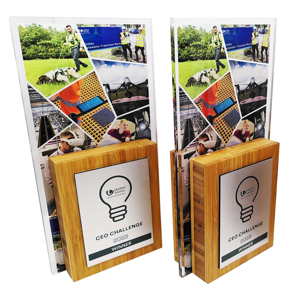 Custom exhibition award in bamboo and acrylic for retail recognition by More Awards