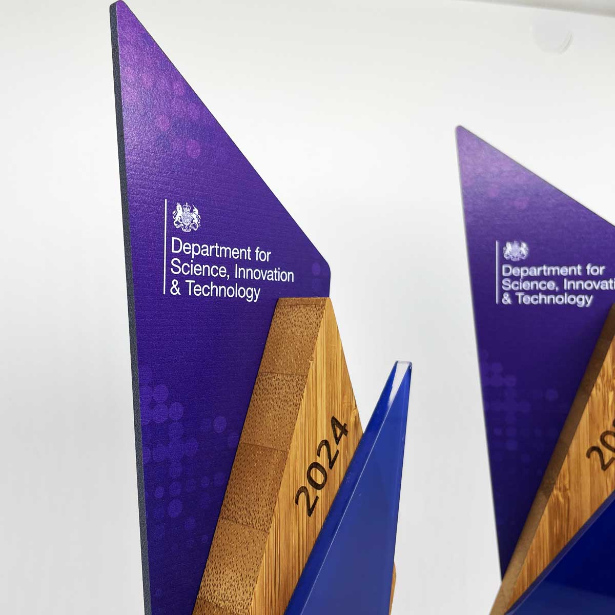 Premium recognition award for government, diversity, equity, and inclusion by More Awards