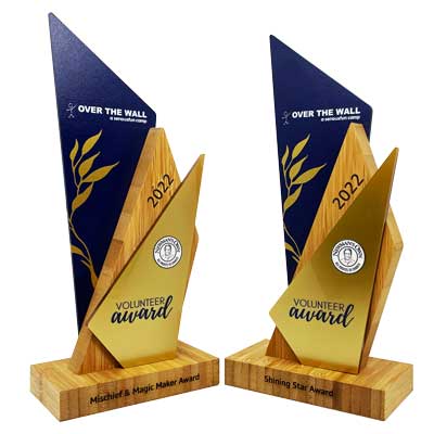 Premium award design with worldwide delivery