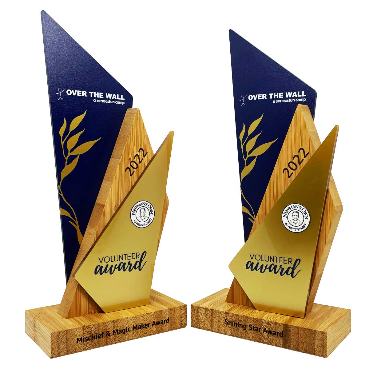 Gold award winner detail for premium Sewena awards procuced by More Awards in Cornwall