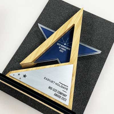 Star-shaped bamboo and acrylic trophy for hospitality excellence