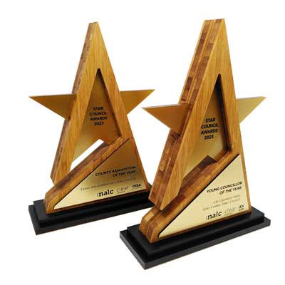 Sustainable gold star award with plaque