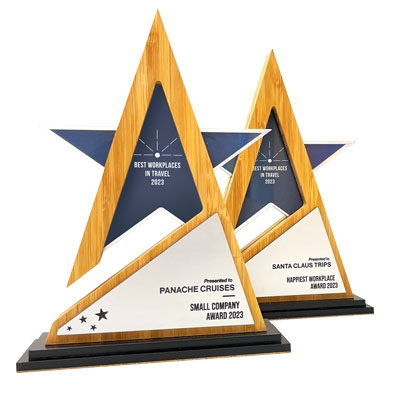 Silver star award with sustainable materials