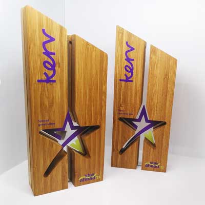 Staff star awards with customer focused event. Premium sustainble award finish.