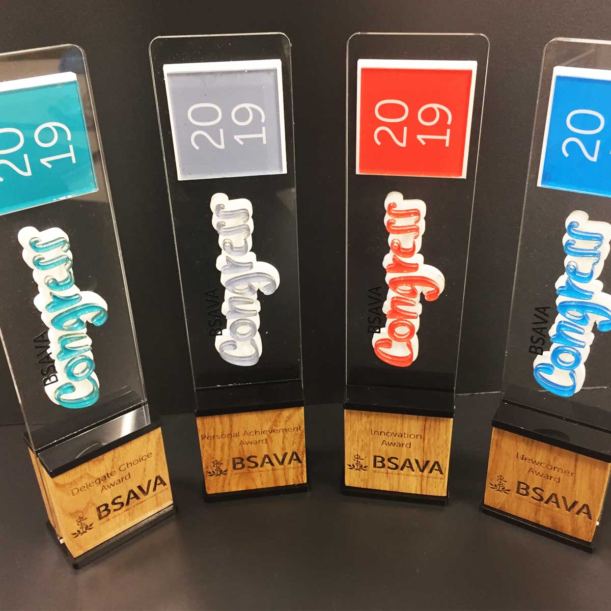 Distinctive tall award for outstanding leadership recognition by More Awards