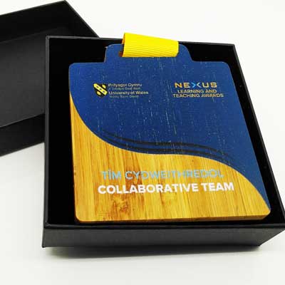Customized corporate achievement medals with box and ribbon