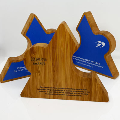 Trangular puzzle shape awards cut from bamboo in a bespoke design with blue printed face detail
