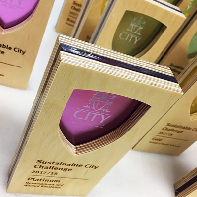 Sustainable City awards made from FSC birch ply with trasparent colour detail by More Awards
