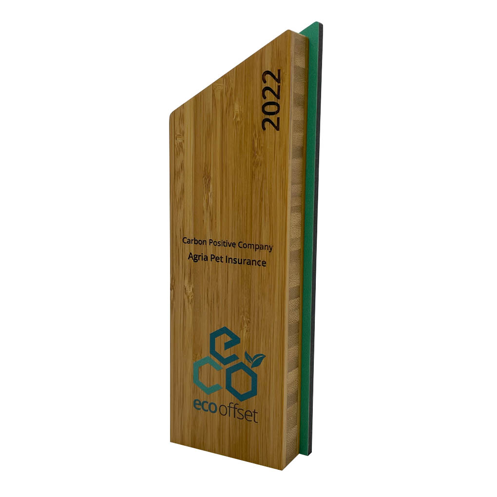 The Demelza Award made from bamboo and recycled acrylic