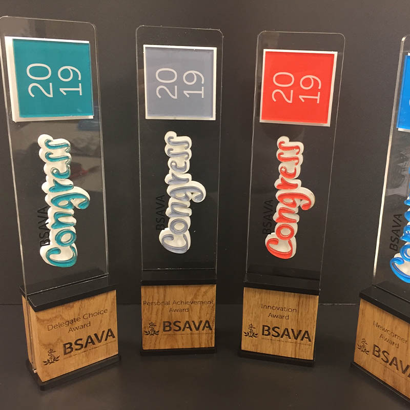 3D Bespoke Awards