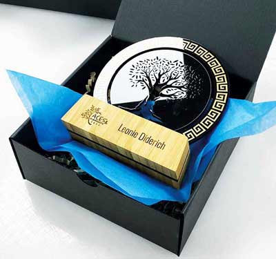 Bespoke award with sustainable presentation box